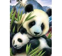 Zeyevan DIY Diamond Painting Panda, 5D Broderie Diamant Painting Kit Complet Panda Point Point De Croix Strass Broderie Craft Pour Home Office Décoration Murale 30x40 cm