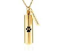 ZEZILE Bijoux de crémation patte impression cylindre urne collier pour cendres avec bocal en verre souvenir urne bijoux commémoratifs pour femmes/hommes