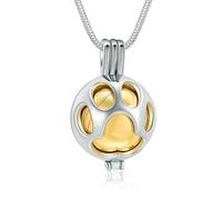 ZEZILE Bijoux de crémation pour animaux de compagnie patte d’animal de compagnie Urne Collier médaillon pour cendres Holder avec pot souvenir urne bijoux