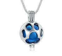 ZEZILE Bijoux de crémation pour animaux de compagnie patte d’animal de compagnie Urne Collier médaillon pour cendres Holder avec pot souvenir urne bijoux
