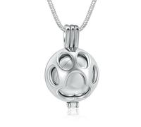 ZEZILE Bijoux de crémation pour animaux de compagnie patte d’animal de compagnie Urne Collier médaillon pour cendres Holder avec pot souvenir urne bijoux