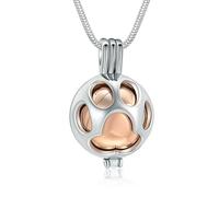 ZEZILE Bijoux de crémation pour animaux de compagnie patte d’animal de compagnie Urne Collier médaillon pour cendres Holder avec pot souvenir urne bijoux