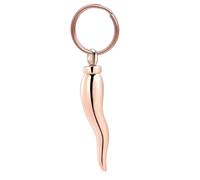 ZEZILE Bijoux de crémation pour cendres en acier inoxydable souvenir pendentif porte cendres pour animal de compagnie humain Memorial urn porte-clés