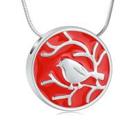 ZEZILE Collier d’urne pour cendres, bijoux de crémation, pendentif humain en cendre d’animal de compagnie, souvenir en acier inoxydable