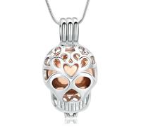 ZEZILE Collier d’urne pour cendres crâne crémation bijoux en acier inoxydable souvenir mémorial pendentif en cendre pour hommes femmes urne creuse collier