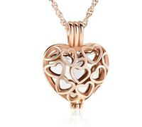 ZEZILE Crémation Bijoux Coeur Urne Colliers pour Cendres Pour Les Femmes En Acier Inoxydable Mémorial Cendres Souvenir Hollow Pendentif Collier