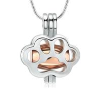 ZEZILE Crémation d’animaux de compagnie bijoux pour cendres patte creuse pendentif médaillon Memorial urne collier chien chat souvenir cadeau pour les hommes femmes