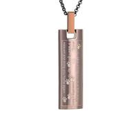 ZEZILE Cube patte impression urne crémation collier souvenir pour animal de compagnie/humain cendres en acier inoxydable pour hommes/femmes colliers commémoratifs