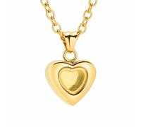 ZEZILE Petit coeur crémation bijoux urne collier pour cendres verre coeur urne médaillon pendentif collier pour cendres humaines/animaux de compagnie