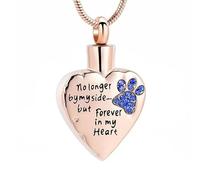 ZEZILE Plus à mes côtés mais pour toujours dans mon cœur Bijoux de crémation pour les cendres en acier inoxydable Patte d’animal de compagnie Souvenir Urne Colliers