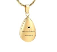 ZEZILE Souvenir Crémation Bijoux pour Humain Chien Chat Crémation Bijoux Souvenir Pendentif pour Cendres pour Femmes