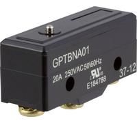 ZF GPTBNA01 Microrupteur GPTBNA01 250 V/AC 20 A 1 x On/(On) à rappel 1 pc(s)