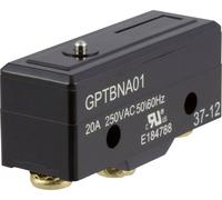 ZF GPTBNA01 Microrupteur GPTBNA01 250 V/AC 20 A 1 x On/(On) à rappel 1 pc(s)