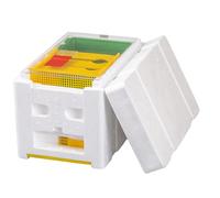 ZffXH Mini Plus Apiculture Reine Boîte d'élevage EPS Récolte Beehives Pollinisation Roi Roi Boîte d'élevage Apiculture Outils Accessoires Apiculture Équipement