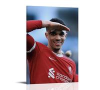 ZFHSFZ Trent Alexander-Arnold Toile de peinture à l'huile - Décoration murale imperméable pour salle de bain, cuisine, dortoir - Facile à nettoyer - 30 x 45 cm - Style cadre
