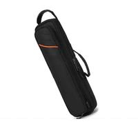 ZFIHAV éTui pour FlûTe Mallette de Rangement for flûte à 16 Trous, étui d'accompagnement, Transport for Instrument, Sac Souple bandoulière Unique pour FlûTistes(Black)