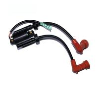 ZfOvvRe Bobine d'allumage 680-85570-02-00 F9.9 for Moteur de Bateau 4 Temps 9,9 CV