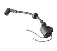 ZfOvvRe Bobine d'allumage for Moteur de Bateau 61N-85570, Compatible avec Les Moteurs Hors-Bord 2 Temps de 20, 25 et 30 CV (références : 61N-85570-00 et 61N-85570-01).