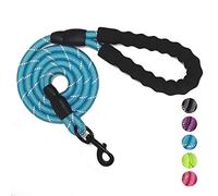 ZFRE-HJ Laisse Robuste pour Chien 3 m avec poignée rembourrée Confortable et Fils hautement réfléchissants pour Chiens de Petite, Moyenne et Grande Taille 1,3 cm de diamètre