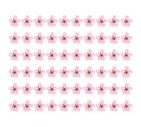 Zghhc 60 Pièces/Ensemble Mini Fleurs Pressées Fleurs De Narcisse Séchées pour Artisanat d'art Scrapbooking Résine Bijoux Étui De Téléphone Signet Carte Postale Nail Art Artisanat Fabrication
