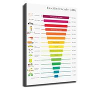 ZGPOSQKZSC Sound Level Measurement Chart Canvas Wall-Art for Workplace Office Hearing Educational Decor(Framed,16x24inch(40x60cm))