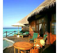 ZGQSW Toit en paille de chaume, cabane, pergolas, parasol de terrasse, parasol de table, parasol, housse de palme, toiture de chaume synthétique Nipa, toiture décorative en paille de chaume (taille