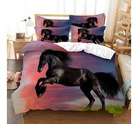 ZGRTZH Parure de Lit 220 x 240 Adulte Cheval Housse de Couette 2 Personnes avec Fermeture Éclair Doux Respirant Microfibre Housse de Couette One Piece et 2 Taie d'oreiller 65x65cm