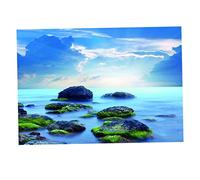 ZGUZMCMK Aquarium Sticker Élément Mural Autocollant Fond Aquarium Poisson PVC Adhésif Effet Réaliste Image en Relief Protection Contre Les Rayures Adapté pour, XS