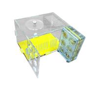 ZGUZMCMK Nid D'insectes Fourmilière, Habitat éducatif, Ferme Transparente avec Zone d'alimentation et Couvercle Sécurisé, Idéal pour Les Cours de, 1.8 Cm