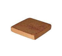 ZGUZMCMK Nut Coir Bloc Horticole Fibre de Compressée Support de Plantation Absorption d'eau Adapté à Hydroponie Terrasse 10cmx10cmx1.5cm