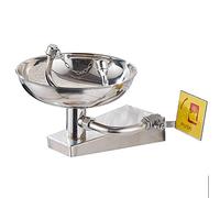 ZGYOZMNG Station de Lavage oculaire Murale en Acier Inoxydable 304, raccord de plomberie d'urgence pour Lavage des Yeux et du Visage (Couleur : Argent)