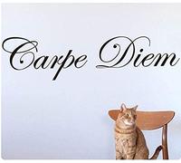 ZHANGBING Sticker Mural Carpe Diem pour bibliothèque - Décoration Murale en Vinyle pour la Maison - Noir 85 x 69 cm