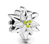 ZHANGCHEN 925 Perle en Argent Sterling Charme Le Edelweiss Charme Fit Casserole Bracelets et Collier Femmes Bijoux À Bricoler Soi-Même