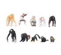 Zhangpu Ensemble de Modèles de Singe, 10 Pièces, Trompe, Gibbon, Orang-outan, Lémurien, Figurines d'animaux Réalistes, Modèles de Primates pour Enfants