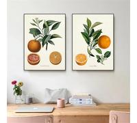 ZHAOLIN Affiche d'art mural de cuisine de fruits vintage Impression botanique d'agrumes orange vintage Peinture sur toile d'agrumes vintage Décor de salle à manger 30x50cm (12x20in) x2 Sans cadre