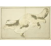 ZHAOSHAN Célèbre Affiche Mur Art Poster DéCoration Murale animal Tiré du livre d'images de Katsushika Hokusai Graffiti Impression Toile Pour la Décoration de la Chambre à Coucher 60x90cm