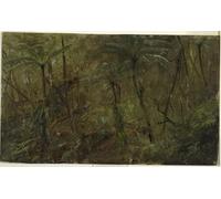 ZHAOSHAN Célèbre Affiche Mur Art Poster DéCoration Murale dans les bois de la Jamaïque par Frederic Edwin Church Graffiti Impression Toile Pour la Décoration de Bureau 60x90cm
