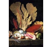 ZHAOSHAN Célèbre Affiche Mur Art Poster DéCoration Murale Nature morte à la touffe de plantes marines coquillages et coraux d'Anne Vallayer coster Pour la Décoration Murale 60x90cm