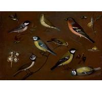 ZHAOSHAN Célèbre Affiche Mur Art Poster DéCoration Murale Nature morte d'oiseaux dont une mésange des marais par Orsola Maddalena Caccia Graffiti Impression Toile Pour la Décoration de Bureau 60x90cm
