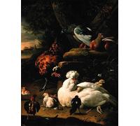 ZHAOSHAN Célèbre Affiche Mur Art Poster DéCoration Murale une poule avec des poussins des pigeons dans un paysage de Melchior De Hondecoeter Pour la Décoration de la Chambre à Coucher 60x90cm