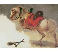ZHAOSHAN Célèbre Art DéCorative Tableaux Sur Toile Cheval de Mustapha-pacha par Antoine Jean Gros Moderne Mur Art Pour la Décoration de la Chambre à Coucher 60x90cm