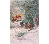 ZHAOSHAN Célèbre Art DéCorative Tableaux Sur Toile Cornu de la faune du monde par Wilhelm Kuhnert Moderne Mur Art Pour la Décoration de la Chambre à Coucher 60x90cm