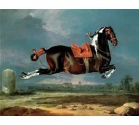 ZHAOSHAN Célèbre Art DéCorative Tableaux Sur Toile l'élevage de cehero animal pie par Johann Georg Moderne Mur Art Pour la Décoration de la Chambre à Coucher 60x90cm