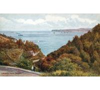 ZHAOSHAN Célèbre Art DéCorative Tableaux Sur Toile Lincombe Drive Torquay par Alfred Robert Quinton Moderne Mur Art Pour la Décoration de la Chambre à Coucher 60x90cm