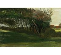 ZHAOSHAN Célèbre Oeuvre Dimpression Wall Art Peintures Paysage avec des arbres balayés par le vent - Vincent Van Gogh Tableaux Modernes Pour la Décoration de Bureau 60x90cm