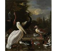 ZHAOSHAN De Célèbres Tableaux Imprimer Affiche Toile Avec Image Autres oiseaux près d'un bassin connu sous le nom de plume flottante par Melchior De Hondecoeter Pour la Décoration de Bureau 60x90cm