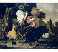 ZHAOSHAN De Célèbres Tableaux Imprimer Affiche Toile Avec Image Combat entre un animal et une dinde par Melchior De Hondecoeter Impression Peinture Huile Pour la Décoration de Bureau 60x90cm