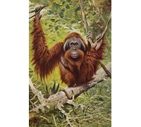 ZHAOSHAN De Célèbres Tableaux Imprimer Affiche Toile Avec Image Orang d'après Wilhelm Kuhnert Impression Peinture Huile Pour la Décoration de Bureau 60x90cm