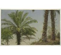 ZHAOSHAN De Célèbres Tableaux Imprimer Affiche Toile Avec Image Palmiers Jamaïque par Frederic Edwin Church Impression Peinture Huile Pour la Décoration Murale 60x90cm