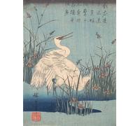 ZHAOSHAN De Célèbres Tableaux Paysage Toile Affiche Affiche De Arts Aigrette dans l'iris et les graminées par Ando Hiroshige Impression Peinture Huile Pour la Décoration Murale 60x90cm